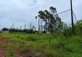 Foto 1 de Fazenda/Sítio à venda, 5000m² em Dom Pedro, Londrina