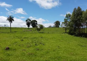 Foto 1 de Lote/Terreno à venda, 20000m² em Antonio Dos Santos, Caeté