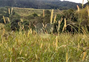 Foto 1 de Lote/Terreno à venda, 2100m² em Horto Florestal, São Paulo