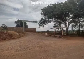 Foto 1 de Fazenda/Sítio com 2 Quartos à venda, 4000m² em Zona Rural, Warta