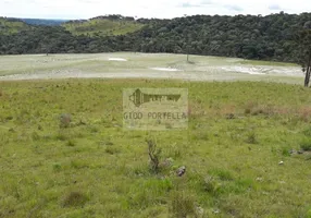 Foto 1 de Fazenda/Sítio à venda, 580000m² em Sao Sebastiao do Arvoredo, São Joaquim