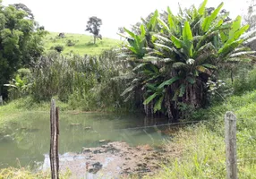 Foto 1 de Fazenda/Sítio com 3 Quartos à venda, 20000m² em Centro, Itapeva