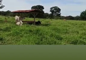 Foto 1 de Fazenda/Sítio à venda, 4m² em , São Francisco de Goiás