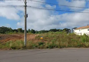 Foto 1 de Lote/Terreno à venda, 393m² em São Victor Cohab, Caxias do Sul