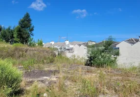 Foto 1 de Lote/Terreno à venda, 361m² em Monte Verde, Farroupilha