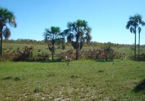 Foto 1 de Lote/Terreno à venda, 125m² em Zona Rural, São Félix do Tocantins