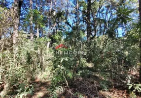 Foto 1 de Lote/Terreno à venda, 1200m² em Vila Siomara, Campos do Jordão