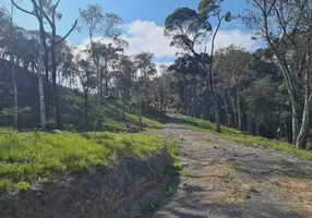 Foto 1 de Fazenda/Sítio à venda em Zona Rural, Bom Retiro