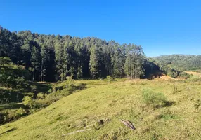 Foto 1 de Fazenda/Sítio à venda, 300000m² em Zona Rural, Angelina