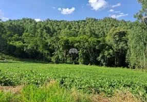 Foto 1 de Fazenda/Sítio à venda, 30000m² em Zona Rural, Pato Branco