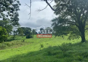 Foto 1 de Fazenda/Sítio à venda em Setor Central, Campinaçu