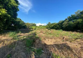 Foto 1 de Lote/Terreno à venda, 3198m² em Santa Rita, Piracicaba