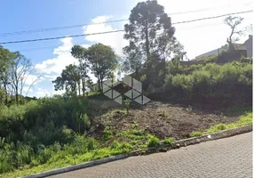 Foto 1 de Lote/Terreno à venda, 363m² em Santa Catarina, Farroupilha