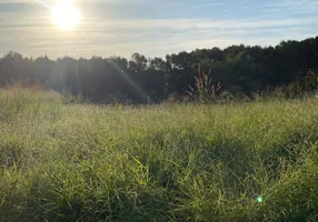 Foto 1 de Lote/Terreno à venda, 10m² em Residencial Village Santa Rita III, Goiânia