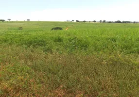 Foto 1 de Fazenda/Sítio à venda em Centro , Patos de Minas