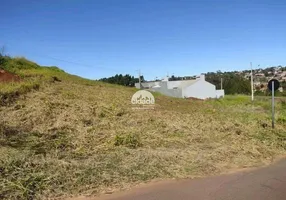 Foto 1 de Lote/Terreno à venda, 360m² em Cascavel Velho, Cascavel