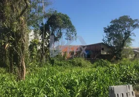 Foto 1 de Lote/Terreno à venda, 260m² em Tropical, Itanhaém