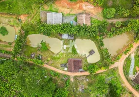 Foto 1 de Fazenda/Sítio com 3 Quartos para alugar, 3000m² em Centro, Massaranduba