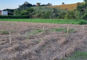 Foto 1 de Lote/Terreno à venda, 1000m² em Area Rural de Leopoldina, Leopoldina