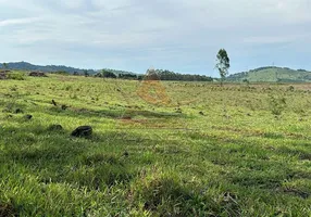 Foto 1 de Fazenda/Sítio com 1 Quarto à venda, 9890000m² em Zona Rural, Santo Antônio do Amparo