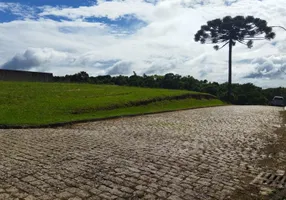 Foto 1 de Lote/Terreno à venda, 5750m² em Rondinha, Campo Largo