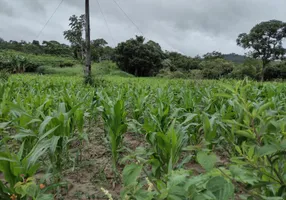 Foto 1 de Fazenda/Sítio à venda, 20000m² em Centro, Fortuna de Minas