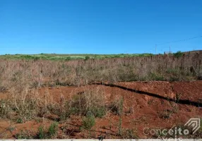 Foto 1 de Lote/Terreno à venda, 300m² em Cara Cara, Ponta Grossa