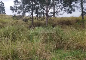 Foto 1 de Lote/Terreno à venda, 500m² em Condominio Arujazinho, Arujá