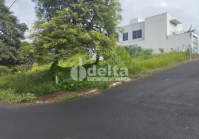 Foto 1 de Lote/Terreno à venda, 300m² em Vigilato Pereira, Uberlândia