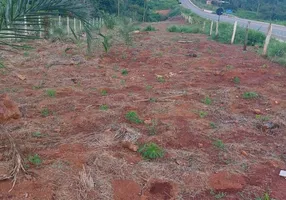 Foto 1 de Fazenda/Sítio à venda, 2000m² em Zona Rural, Campo Limpo de Goiás