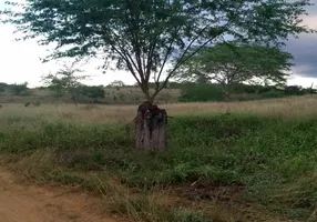 Foto 1 de Fazenda/Sítio com 4 Quartos à venda, 870m² em Zona Rural, Itaberaba