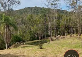 Foto 1 de Fazenda/Sítio com 3 Quartos à venda, 10000m² em Taiacupeba, Mogi das Cruzes