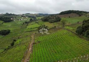 Foto 1 de Fazenda/Sítio com 1 Quarto à venda, 70000m² em Linha Leopoldina, Bento Gonçalves