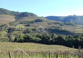 Foto 1 de Fazenda/Sítio com 1 Quarto à venda, 32000m² em Faria Lemos, Bento Gonçalves