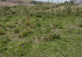 Foto 1 de Fazenda/Sítio à venda, 12100m² em Rural, Torre de Pedra