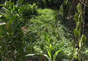 Foto 1 de Lote/Terreno à venda, 393m² em Iconha, Guapimirim