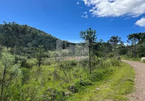 Foto 1 de Lote/Terreno à venda, 40000m² em Centro, São Joaquim