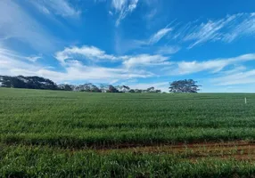 Foto 1 de Fazenda/Sítio com 1 Quarto à venda, 20000m² em Conjunto Vale Azul, Sarandi