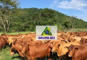 Foto 1 de Fazenda/Sítio à venda, 17700000m² em Zona Rural, Santana do Araguaia