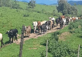 Foto 1 de Fazenda/Sítio com 3 Quartos à venda, 1000m² em Papucaia, Cachoeiras de Macacu