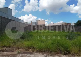 Foto 1 de Lote/Terreno à venda, 250m² em Jardim Inconfidência, Uberlândia