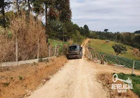 Foto 1 de Fazenda/Sítio com 1 Quarto à venda, 5456m² em Miringuava, São José dos Pinhais