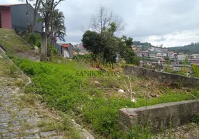 Foto 1 de Lote/Terreno à venda, 1000m² em Santa Luzia, Ribeirão Pires