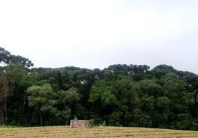 Foto 1 de Fazenda/Sítio com 1 Quarto à venda, 40005m² em Campina do Taquaral, São José dos Pinhais