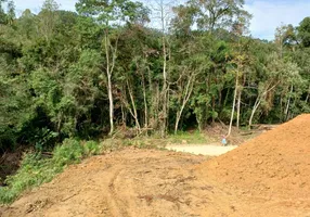 Foto 1 de Fazenda/Sítio à venda, 25000m² em , São Bonifácio