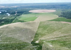 Foto 1 de Fazenda/Sítio com 4 Quartos à venda, 133000000m² em Centro, São Félix de Balsas