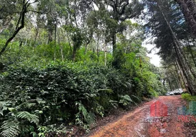 Foto 1 de Lote/Terreno à venda, 600m² em Monte Verde, Camanducaia