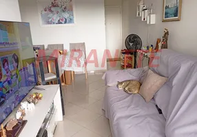 Foto 1 de Apartamento com 3 Quartos para venda ou aluguel, 60m² em Vila Nova Cachoeirinha, São Paulo