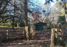 Foto 1 de Fazenda/Sítio com 3 Quartos à venda, 49000m² em Centro, Cunha