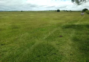 Foto 1 de Fazenda/Sítio com 1 Quarto à venda, 6050000m² em Zona Rural, Presidente Venceslau